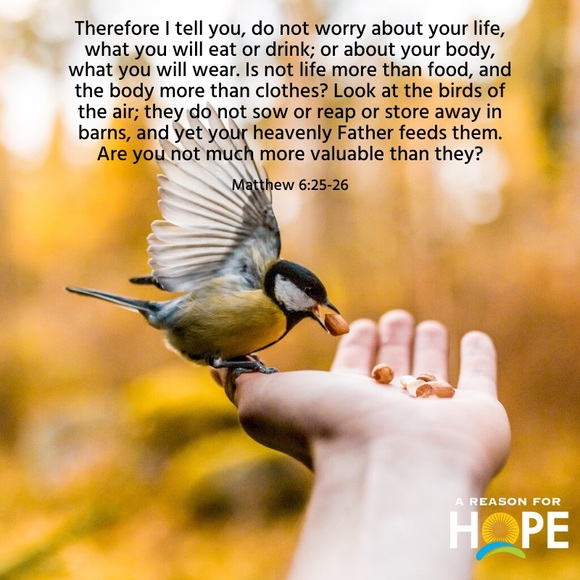 Meet your Posher, London - Picture 6 of 7